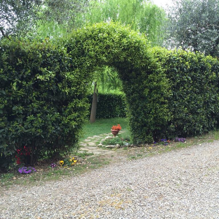 Casina Rosa Daire Certaldo Oda fotoğraf