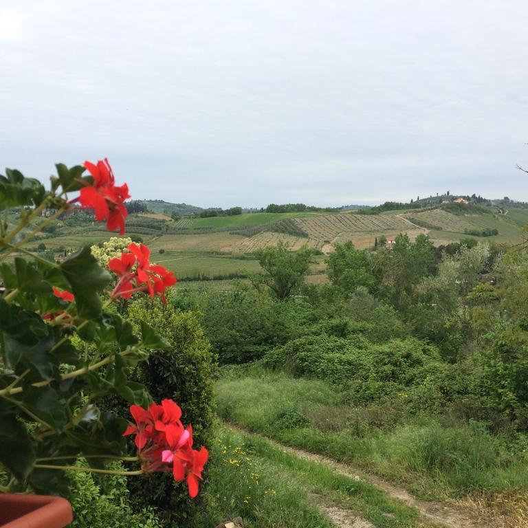 Casina Rosa Daire Certaldo Oda fotoğraf